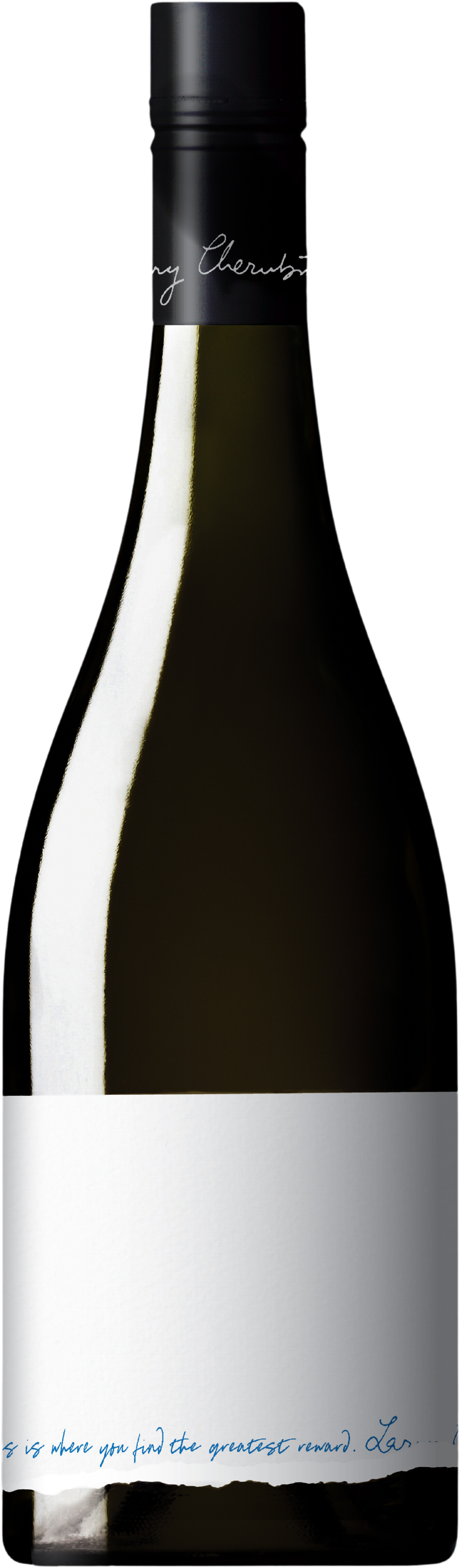 Cherubino On The Fringe Pinot Noir 2022